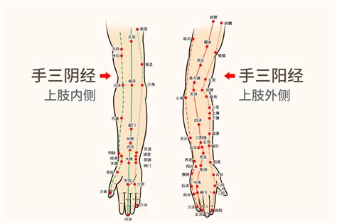 六白穴|手六白准确位置图和作用